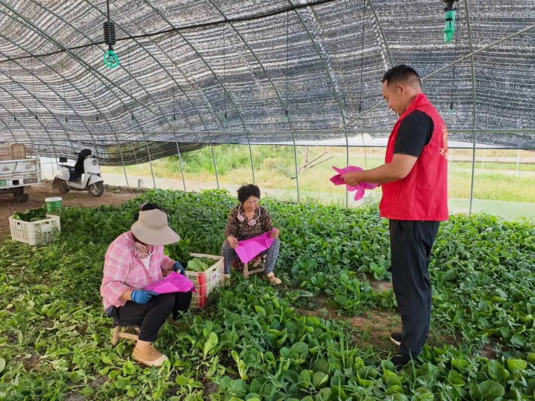 卧龙区石桥镇开展新时代文明实践志愿服务宣传活动